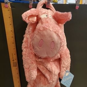 HOLD KathyM.  Hope the Flying Pig by Sandra Boynton